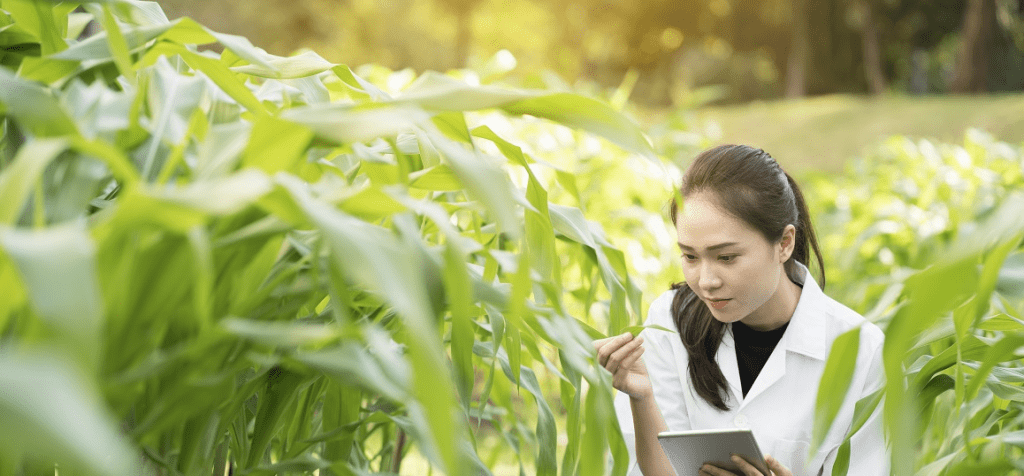 Agricultural Engineer job description